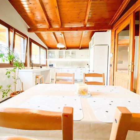 Tirana Experience, Authentic Stays In The Heart Of Old Τίρανα Εξωτερικό φωτογραφία